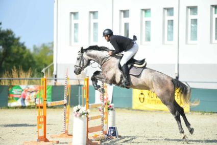 Elad� 8 �ves oldenburgi her�lt 