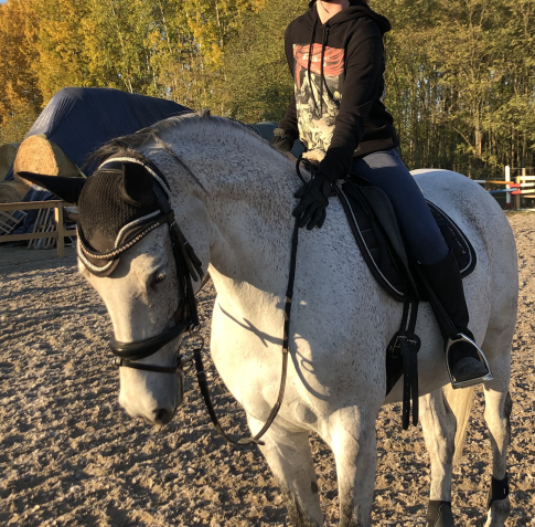 Elad� 14 �ves holsteini kanca 