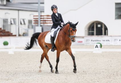 Elad� 7 �ves magyar f�lv�r her�lt 