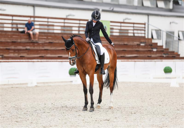 Elad� 7 �ves magyar f�lv�r her�lt 