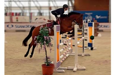 Elad� 15 �ves magyar sportl� kanca 