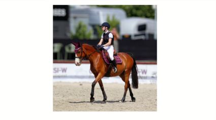 Elad� 15 �ves magyar sportl� kanca 