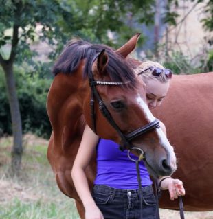 Elad� 15 �ves magyar sportl� kanca 