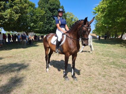 Elad� 11 �ves magyar sportf�lv�r kanca 