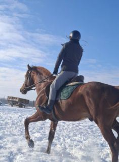 Elad� 5 �ves magyar sportl� her�lt 