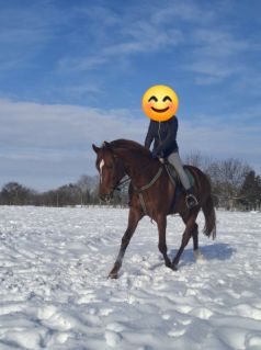 Elad� 5 �ves magyar sportl� her�lt 