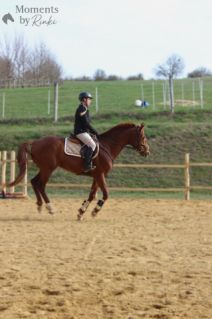 Elad� 5 �ves magyar sportl� her�lt 