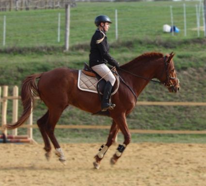 Elad� 5 �ves magyar sportl� her�lt 