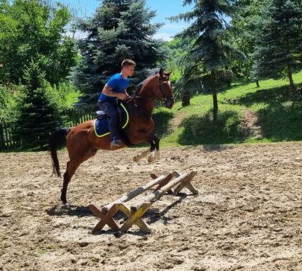 Elad� 8 �ves magyar sportl� her�lt 