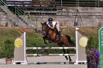 Elad� 16 �ves magyar sportf�lv�r kanca 