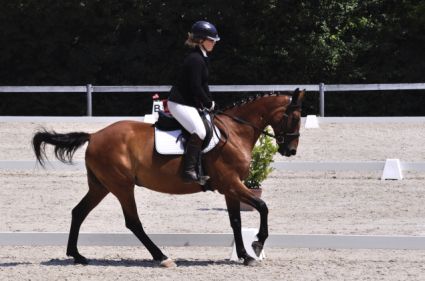 Elad� 16 �ves magyar sportf�lv�r kanca 