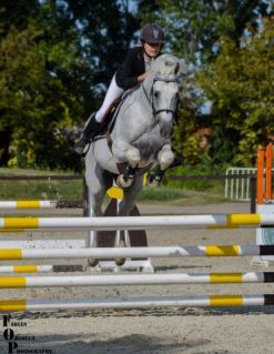 24 �ves shagya arab m�n 