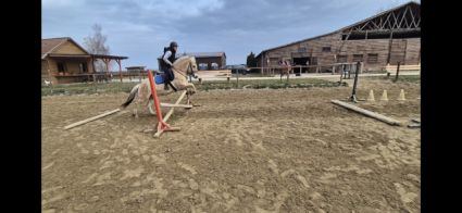 Elad� 4 �ves fjord her�lt 