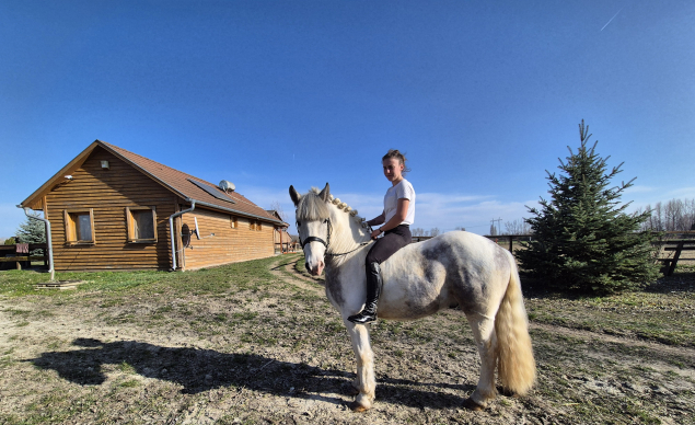 Elad� 4 �ves tinker her�lt 