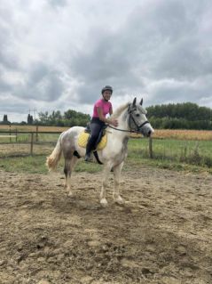 Elad� 4 �ves tinker her�lt 