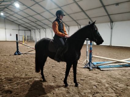 Elad� 9 �ves kisb�ri f�lv�r kanca 