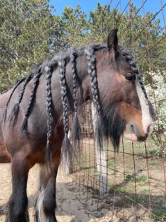 Elad� 5 �ves tinker m�n 
