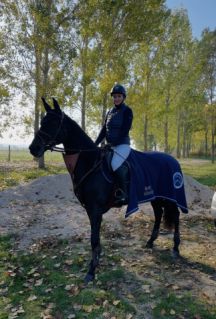 Elad� 16 �ves magyar sportf�lv�r kanca 