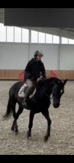 Elad� 10 �ves belga melegv�r� kanca 