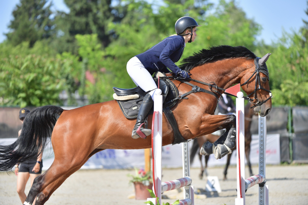 Elad� 11 �ves holsteini kanca 