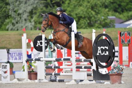 Elad� 11 �ves holsteini kanca 