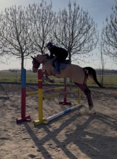 Elad� 5 �ves kisb�ri f�lv�r her�lt 