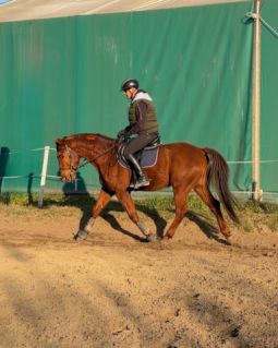 Elad� 5 �ves kisb�ri f�lv�r her�lt 