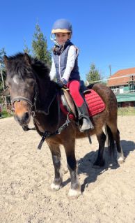 Elad� 4 �ves p�ni her�lt 