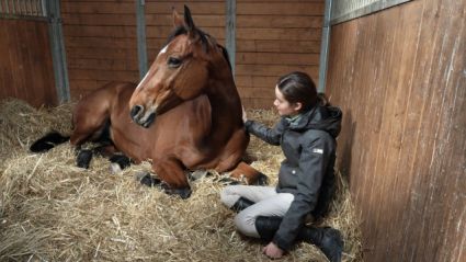 Elad� 12 �ves kisb�ri f�lv�r kanca 