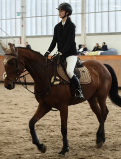 Elad� 12 �ves kisb�ri f�lv�r kanca 