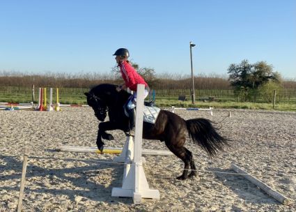 Elad� 11 �ves p�ni her�lt 