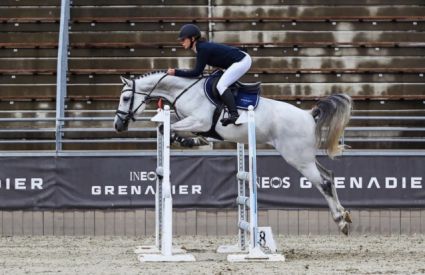 Elad� 7 �ves oldenburgi her�lt 