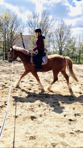 Elad� 5 �ves sportp�ni her�lt 