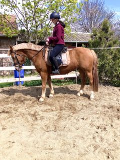Elad� 5 �ves sportp�ni her�lt 