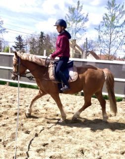 Elad� 5 �ves sportp�ni her�lt 