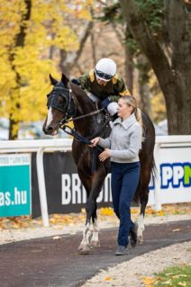 Elad� 4 �ves angol teliv�r her�lt 