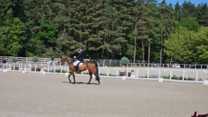 Elad� 11 �ves hannoveri her�lt 