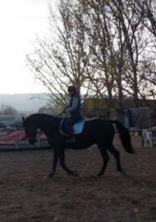 Elad� 11 �ves n�niusz her�lt 