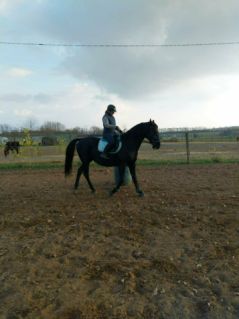 Elad� 11 �ves n�niusz her�lt 