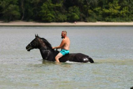 Elad� 11 �ves n�niusz her�lt 