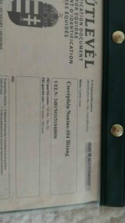 Elad� 11 �ves n�niusz her�lt 