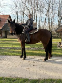 Elad� 7 �ves kisb�ri f�lv�r kanca 