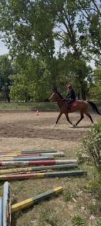 Elad� 5 �ves angol teliv�r kanca 