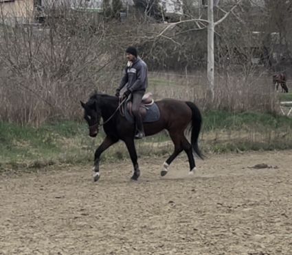 Elad� 12 �ves magyar sportl� her�lt 