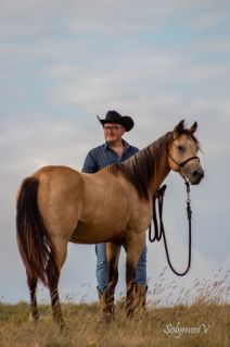 Elad� 4 �ves quarter horse kanca 
