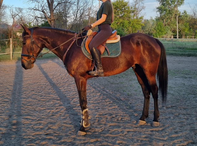 Elad� 8 �ves �get� her�lt 