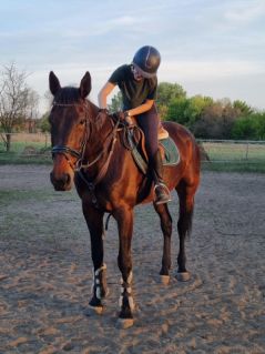 Elad� 8 �ves �get� her�lt 