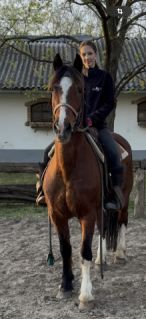 Elad� 16 �ves magyar f�lv�r kanca 