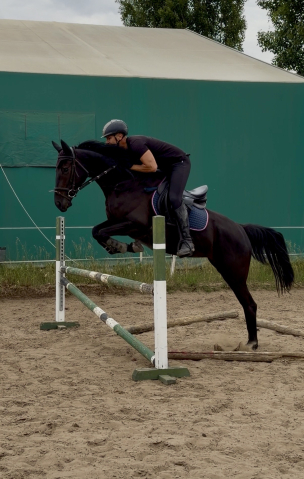 Elad� 4 �ves magyar sportl� kanca 