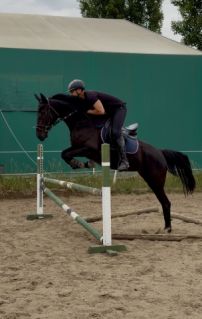 Elad� 4 �ves magyar sportl� kanca 